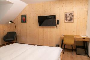 TV a/nebo společenská místnost v ubytování Kozjanski dvor