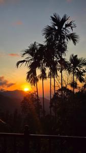 Příroda nedaleko penzionu