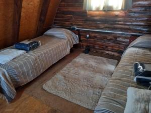 QuehuéLa Morena的一间木墙房间里有两张床