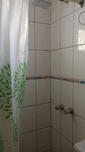 a bathroom with a shower with a shower curtain at Departamento 1 in Comodoro Rivadavia
