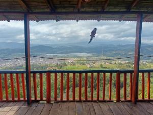 En generel udsigt til bjerge eller udsigt til bjerge taget fra feriegården