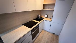 Η κουζίνα ή μικρή κουζίνα στο 1 room apartment with garden, Nálepková