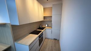 Η κουζίνα ή μικρή κουζίνα στο 1 room apartment with garden, Nálepková +5 φωτογραφίες