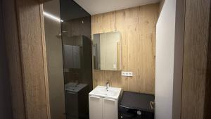 Η κουζίνα ή μικρή κουζίνα στο 1 room apartment with garden, Nálepková