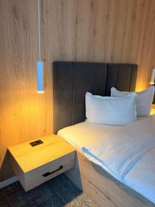 Foto dalla galleria di Elegant House a Făgăraş