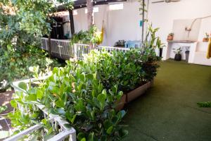 En have udenfor Habitación céntrica con desayuno y baño privado + 41 billeder