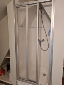 "Chambre familiale", La Maison des Grenouilles في Férolles: دش مع باب زجاجي في الحمام