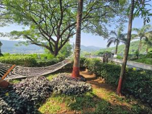 a hammock in a garden with trees and bushes at Sunset point 99 in Revadanda