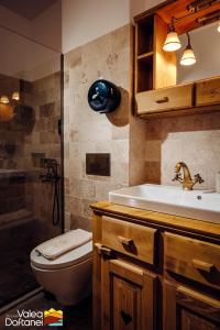a bathroom with a toilet and a sink and a shower at Mai cu Mot Doftana Luxury Chalets in Trăisteni