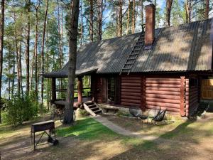 a log cabin in the middle of a forest at Vila Zara in Zarasai