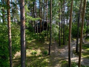 Příroda nedaleko prázdninového domu