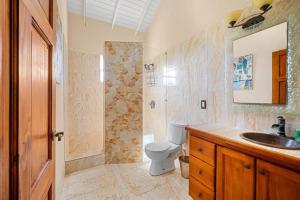 Serenity Villa - 3bd by ZenBreak في سانت بيتير: حمام مع مرحاض ومغسلة