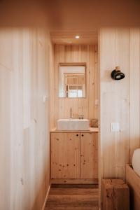 une salle de bains avec un lavabo et un miroir dans l'établissement Domaine St-Amand, à Saint-Amand-de-Coly