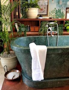 Billede fra billedgalleriet på Le Grand Jardin Villa i Kayamnandi