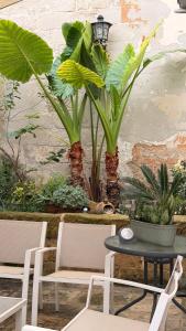 Zahrada ubytování Xenia Boutique Apartment