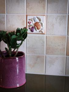 Ferienwohnung Doppelreiter في ابسي: مزهرية أرجوانية بها نبات بجوار الحائط +26 صورة