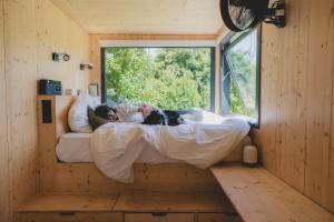 Una mujer acostada en una cama en una habitación con ventana en Parcel Tiny House I Richecourt vue Prairie, en Mesbrecourt-Richecourt
