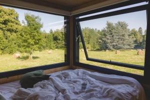 una cama en una habitación con dos ventanas grandes en Parcel Tiny House I Richecourt vue Prairie, en Mesbrecourt-Richecourt 8 fotos más