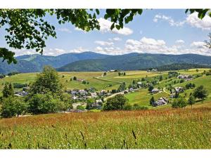 a small village in a green field with mountains at Kirchlehof in Oberried +6 photos