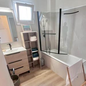 a bathroom with a sink and a shower and a mirror at La Varangue bleu T3 Aéroport Sainte Marie in Sainte-Marie