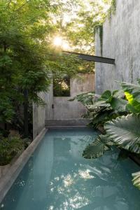 Πισίνα στο ή κοντά στο Basico Pixoy Hotel