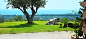 Gallery image of Casa La Vela in Cala Liberotto