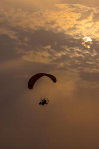 Επισκέπτες που μένουν στο Private Home Gardens & Pools, Complementary tours and experiences inclusive