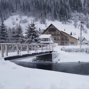 Το Pensiunea El Monte SPA τον χειμώνα