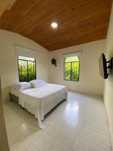 cabaña campestre san pedro في فيلافيسينسيو: غرفة نوم بها سرير ونافذتين