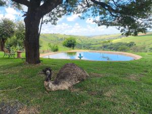 Φυσικό τοπίο κοντά σε αυτό το καταφύγιο +8 φωτογραφίες