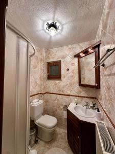 ByDoukas Mountain Resort في بالايوس أجيوس أثناسيوس: حمام صغير مع مرحاض ومغسلة