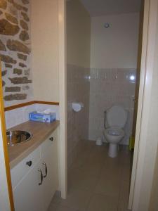Un baño pequeño con inodoro y lavabo. en Gîte lumineux, en Antaignagues
