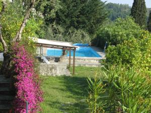 a swimming pool in a garden with flowers at Rosa dei Venti in Rapallo