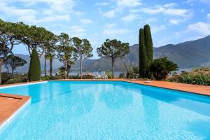 Πισίνα στο ή κοντά στο Brentano loft