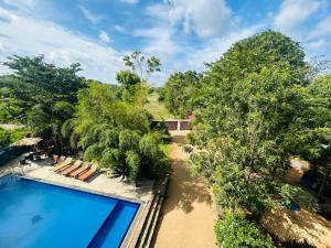 an overhead view of a swimming pool with trees at Amelia resort in Udawalayagama