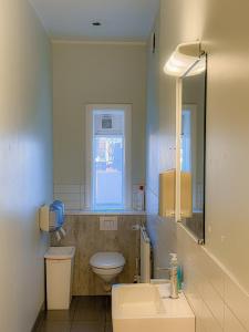 レイキャビクにあるBaron's Hostelのトイレ、洗面台、鏡のあるバスルーム