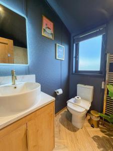 een badkamer met een wastafel, een toilet en een spiegel bij Blackthorn Timber Lodge in Bothel +14 foto's