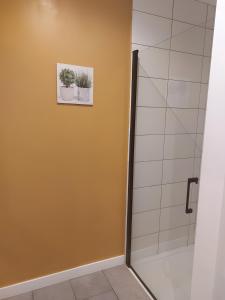 een badkamer met een douche en een foto van potplanten bij Gîte Ô Et Nature in Saint-Viaud +8 foto's
