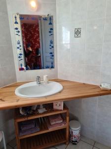 ムン・シュル・ロワールにあるChambre Japonisante, La Bonnerieの洗面台と鏡のあるバスルーム