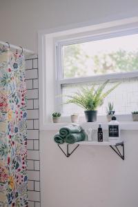 baño con ventana y estante con plantas en Mile High Hideaway, en Denver