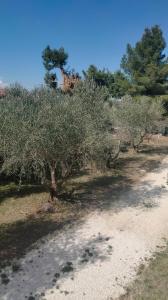 Naturlandskabet i nærheden af lejligheden + 10 billeder