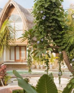 乌鲁瓦图Lulu's Villas的房子前面的一棵树，上面开着紫色的花