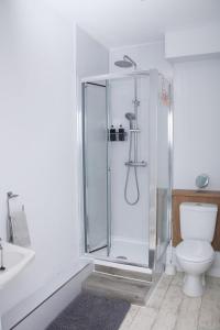 Buccleuch Bliss في هاويك: حمام مع دش ومرحاض ومغسلة