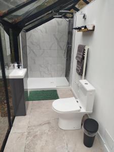 a bathroom with a toilet and a shower and a sink at Domaine des pins A la belle étoile 