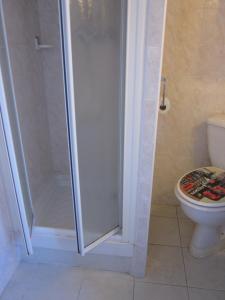 a shower stall in a bathroom with a toilet at Douillet F1 Place Paoli in Corte