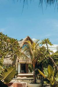 乌鲁瓦图Lulu's Villas的一栋门前有棕榈树的房子 更多131张照片