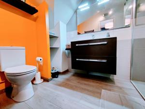 ein Badezimmer mit Toilette und Dusche in der Unterkunft Chez Maméta - Séjour à Auxerre in Auxerre + 10 Fotos