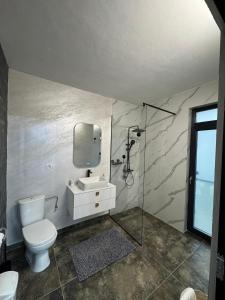 a bathroom with a toilet and a sink and a shower at Mountain House Transalpina in Novaci-Străini +23 photos