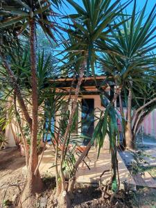 Κήπος έξω από το Studio Le Yuka entre Mer et Montagne +15 φωτογραφίες