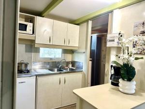 a small kitchen with white cabinets and a sink at ZEcamping 3 étoiles animaux acceptés in Sartène +15 photos